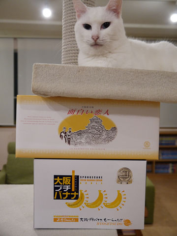 猫式ブログ~里親募集型猫カフェ