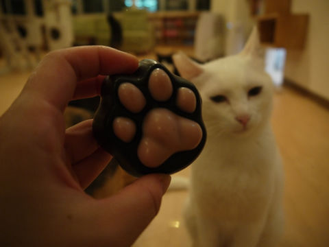 猫式ブログ～里親募集型猫カフェ