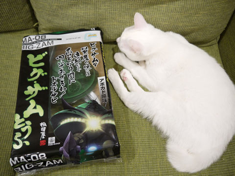 猫式ブログ~里親募集型猫カフェ