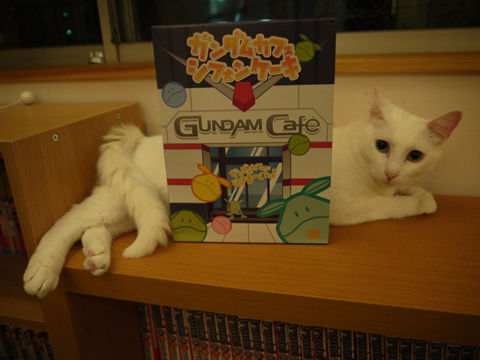 猫式ブログ~里親募集型猫カフェ