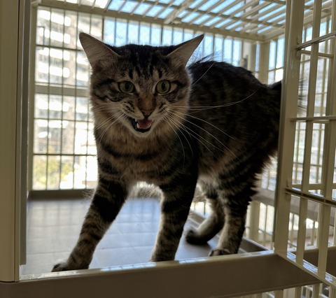 DECCB8D0-C2E9-4571-A00D-60248507622B