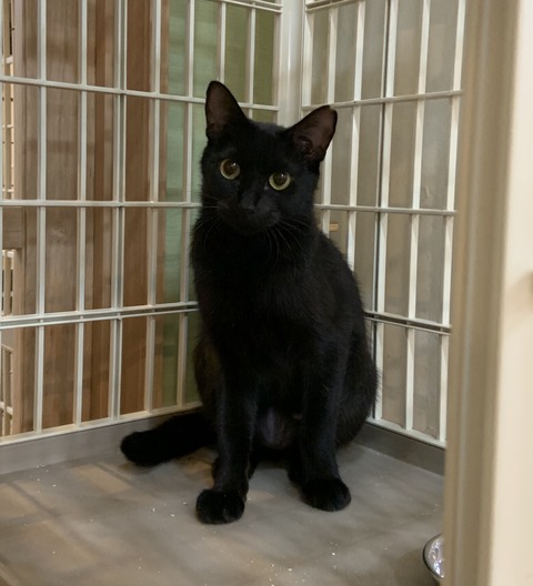 1B26098F-F89F-4763-83AB-EAAF6B978842