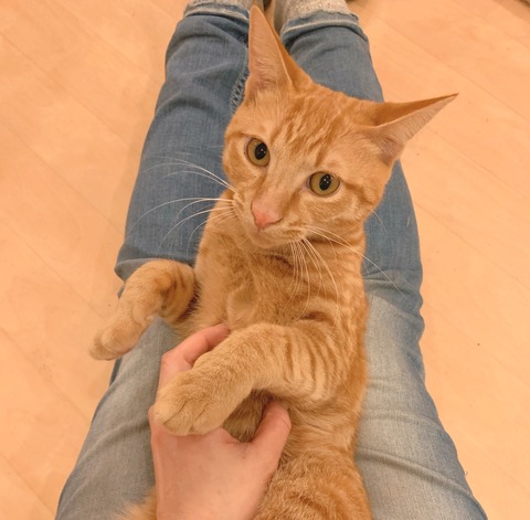 4D9B4E53-B7ED-45FA-B3BA-736761DAB612