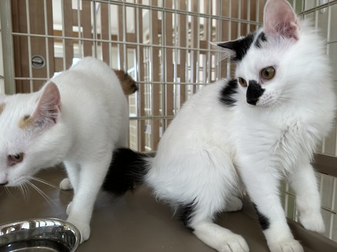 9AA7F604-C014-44C8-9ED9-939B970B147D