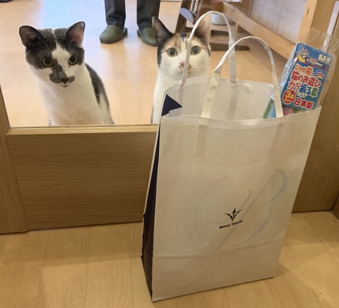 AD569F05-BA09-44F9-83B6-0021BF8434DC