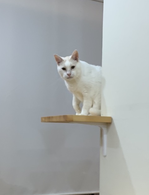 78822C72-5B10-4423-99A7-C0EC6EE7DCD5