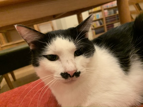 AA53F141-DA17-401D-BFFF-E8F1A579487C