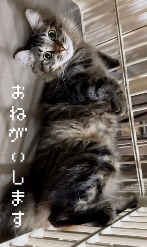 45137AC2-C70C-48D1-8C65-0F553727EEA1