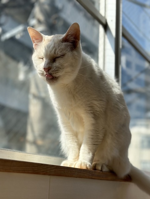 FAB21063-2904-4A32-B614-1721B8E6B6B5