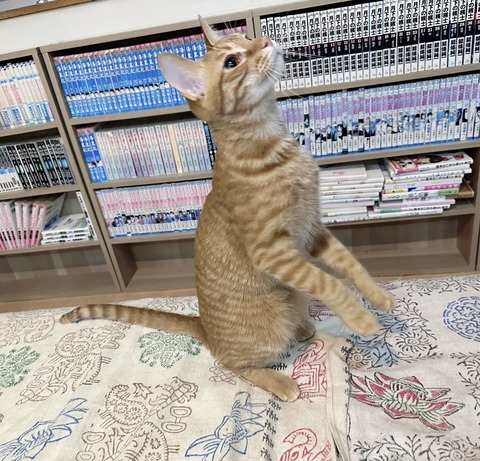 5F97E80E-1493-4B67-86C3-2CF7A8750D64