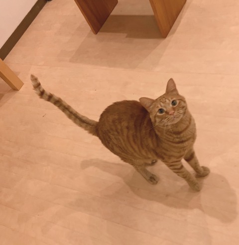 3A9CC0B9-9153-4D7A-A818-E5262A696B0B