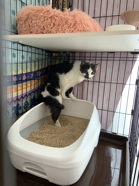 30EC531B-292A-41DC-9599-8962C5934C93