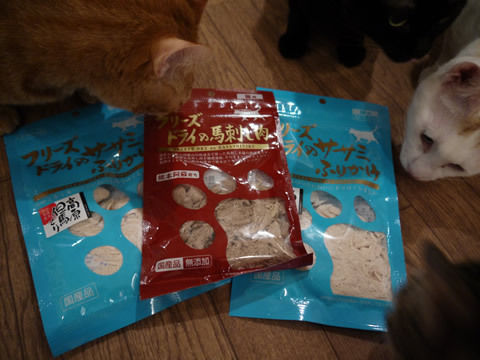 猫式ブログ~里親募集型猫カフェ