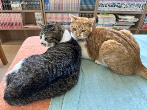 5966FDDD-BB8A-4606-923E-97CF013C5BFA