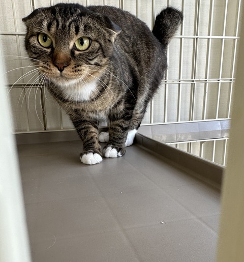 CC80C49A-4FE9-4177-88F1-F3834F1976FF