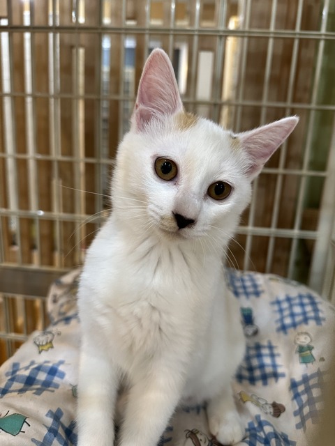 796E477A-824F-4993-B9CF-B3CE0AC99B14