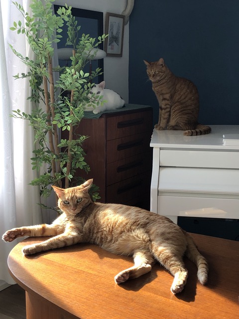 076964B9-93F3-4DC9-8DC5-282BA7C3DFD1