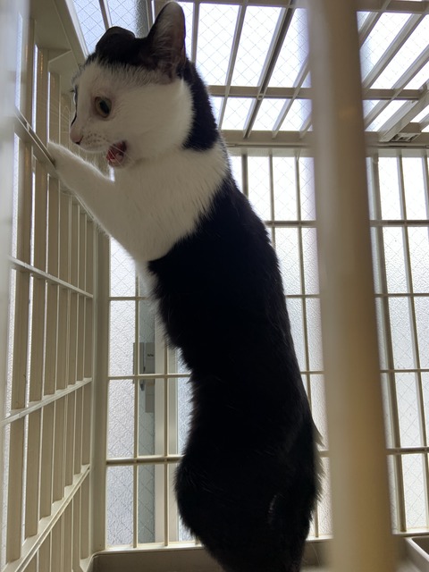 ECE09223-0E5E-49CE-A931-21F5F137B4F3