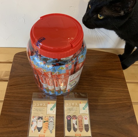 388C8894-D038-4ABC-9866-8BC99A18288C