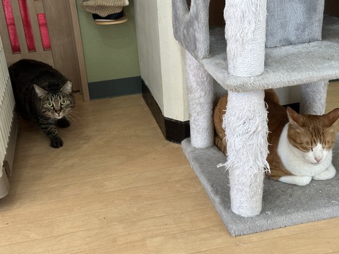 3B005263-E963-4A75-96B1-F936B771805C