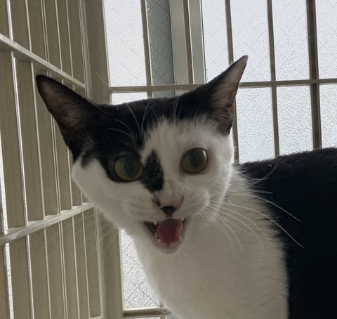 42DCEBE5-9007-4FD7-95F9-422BCBE57AF4