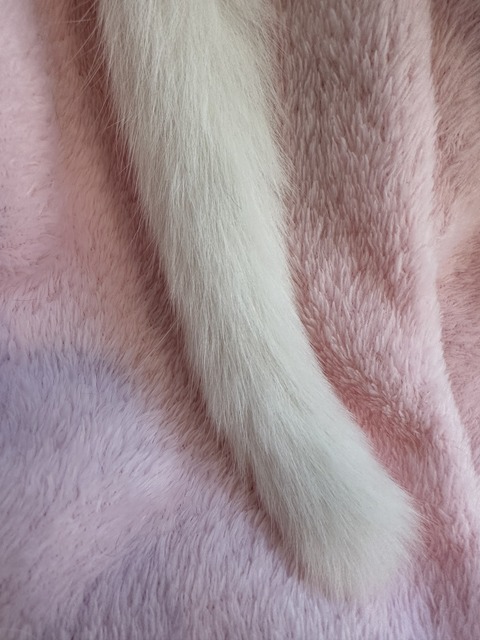 A5A4E3CE-1D4B-449D-B72C-C639353B82AC