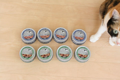 猫式ブログ~里親募集型猫カフェ