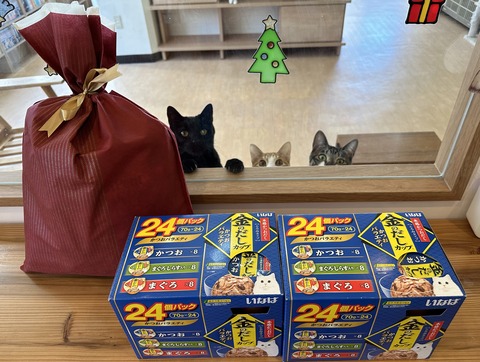 0ABAA87B-8595-40E5-B4B6-D7C94453C419