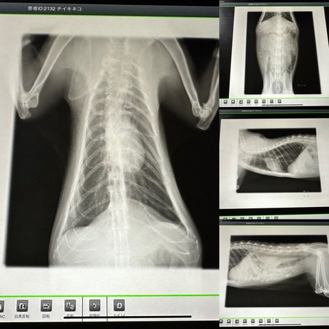 47683B67-8084-4E0F-A6E9-D1B426D97125