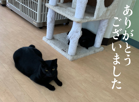 34FA4696-DDEE-46ED-A8B1-38C2C8D38EF8