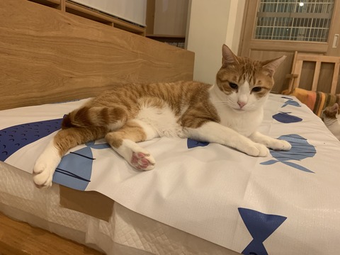 DD3129FD-5D59-450B-8C26-37842B48B03E