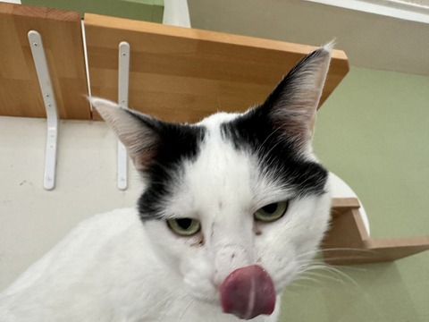 FCB657A5-6439-4458-8566-59EA937289A4