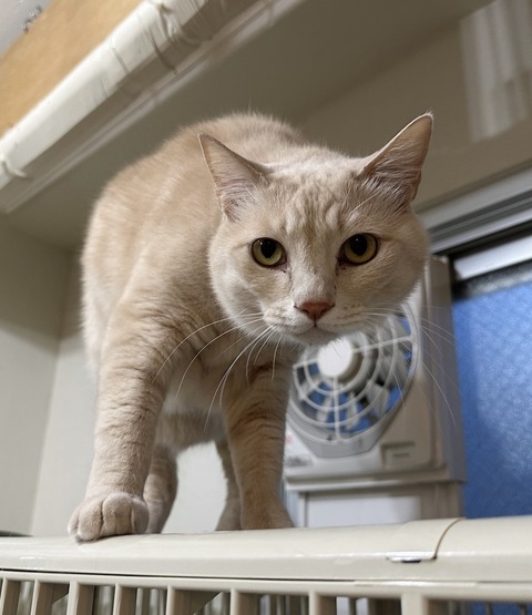 E5492AC6-0D90-4029-9F59-7B7789ECD1AA