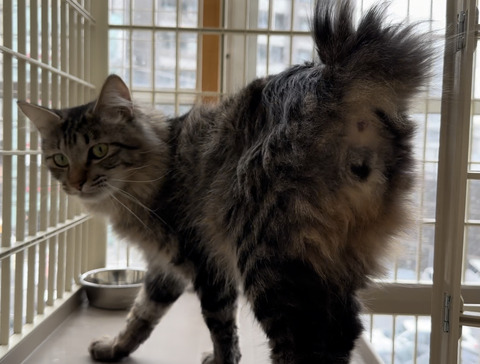 27C9CAEC-36AB-41A8-BCDB-15B1E00B6501