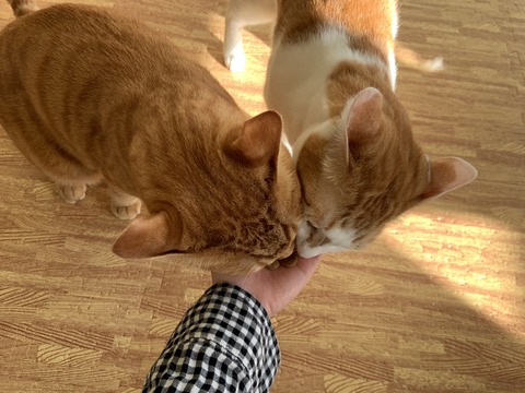 53B06730-954C-4C30-B690-483D0DB144D8