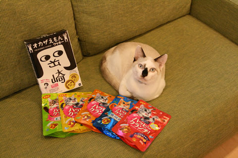 猫式ブログ~里親募集型猫カフェ