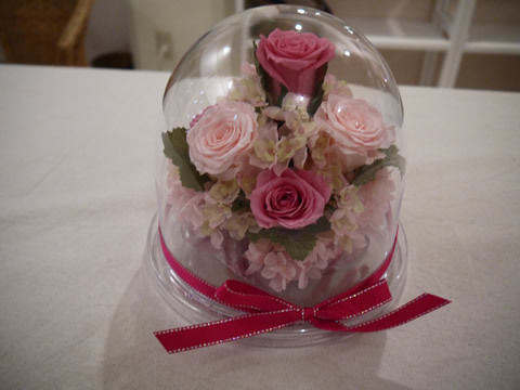 猫式ブログ～里親募集型猫カフェ