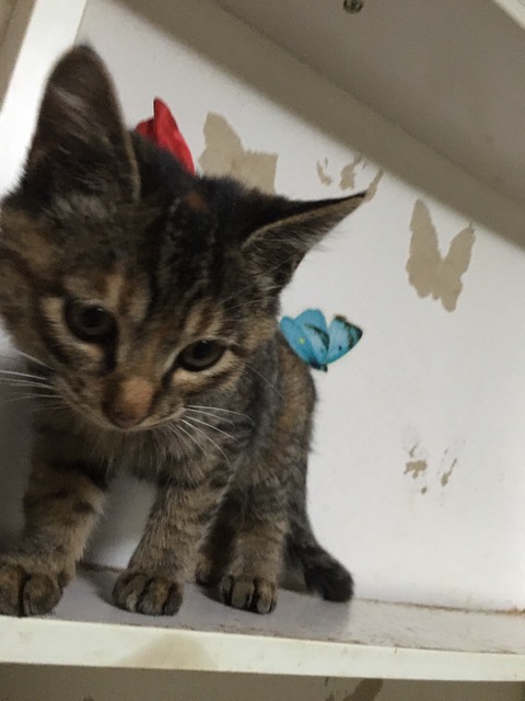 2D6F3294-AB36-4735-A69D-CE029A298AD9