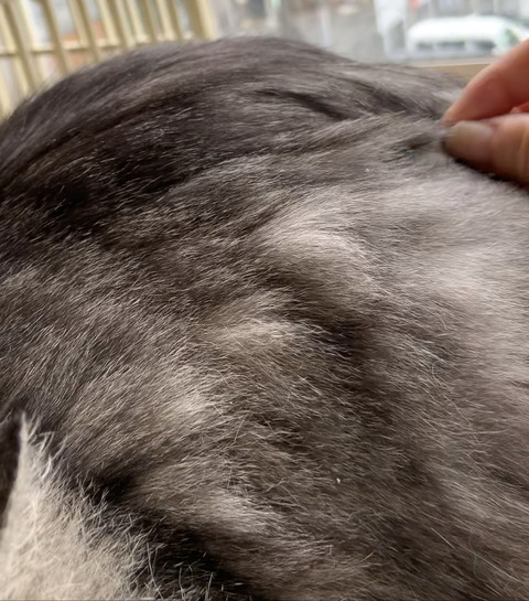 18EC23BF-BEEA-44E8-AD27-E39A2257506E