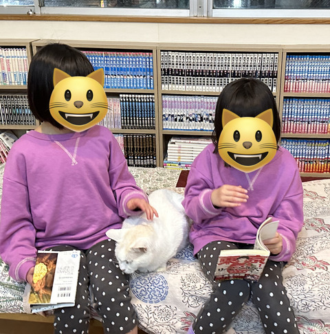 42B6913B-7DF1-40F0-9D90-6244035239B1