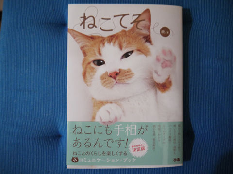 猫式ブログ~里親募集型猫カフェ