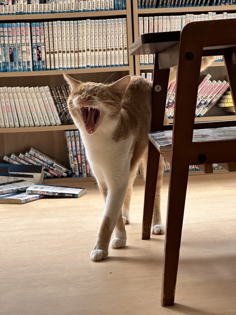 ECCFF7F8-EF24-4C2B-878F-034A51408A11