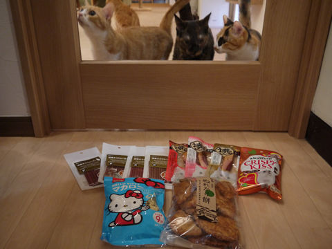 猫式ブログ~里親募集型猫カフェ