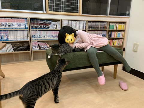 497011BF-A254-4D52-9A2C-69D1C13FF0EB