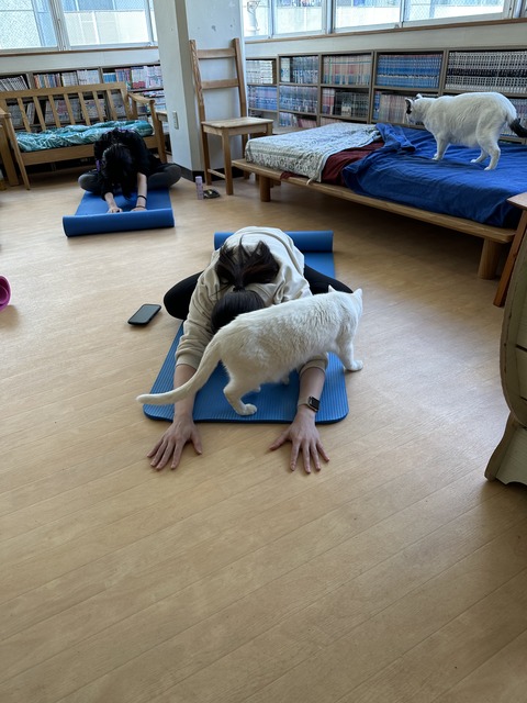 9C3CA63D-E4FB-4494-BBB2-18D5FE01DFD1