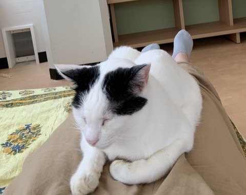 571207A3-F2A5-4D0E-B185-2B26569CA350