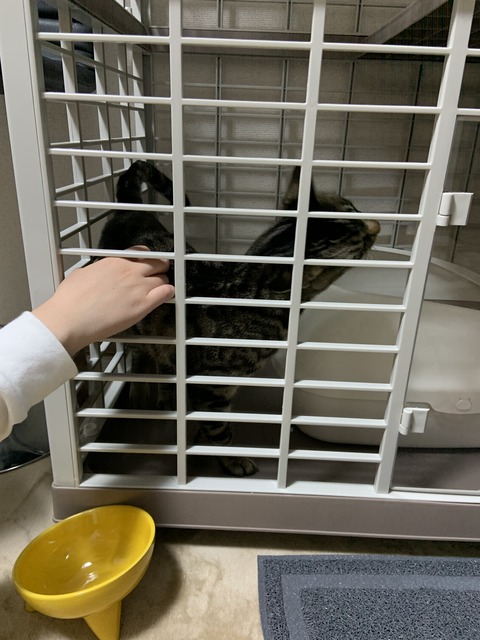 2EE20386-EF8A-4A32-9B30-F9BEFEB1D405