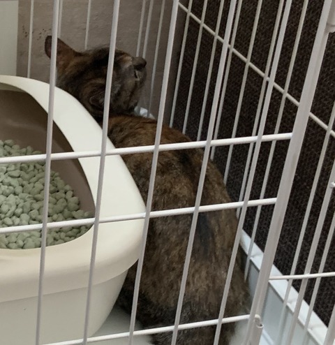 C997F9E9-3A5D-4535-B77B-E8158E6B180E