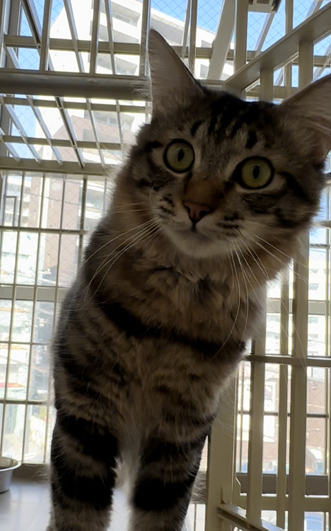 9743D7CD-D0C1-4F02-9C3F-55D162B62455