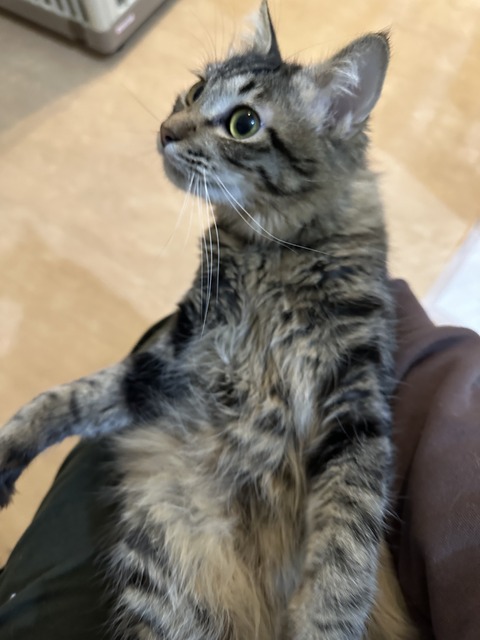 86824FBD-8559-46CA-B83F-DCAD594E1039